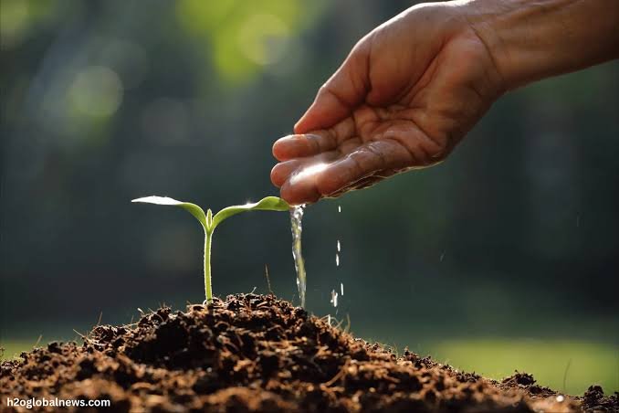 Agriculture